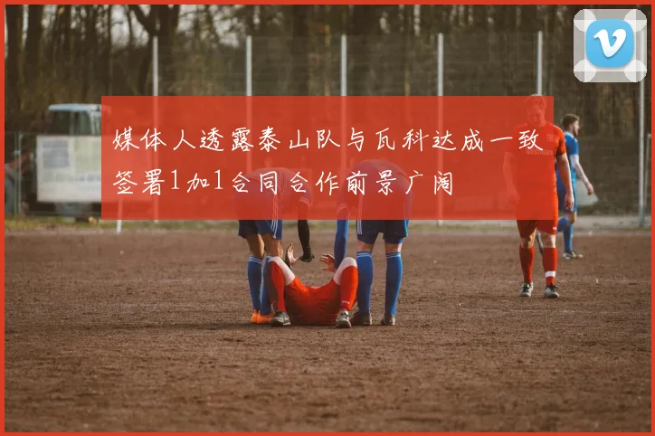 媒体人透露泰山队与瓦科达成一致签署1加1合同合作前景广阔