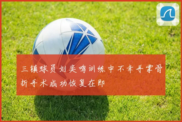 三镇球员刘奕鸣训练中不幸手掌骨折手术成功恢复在即