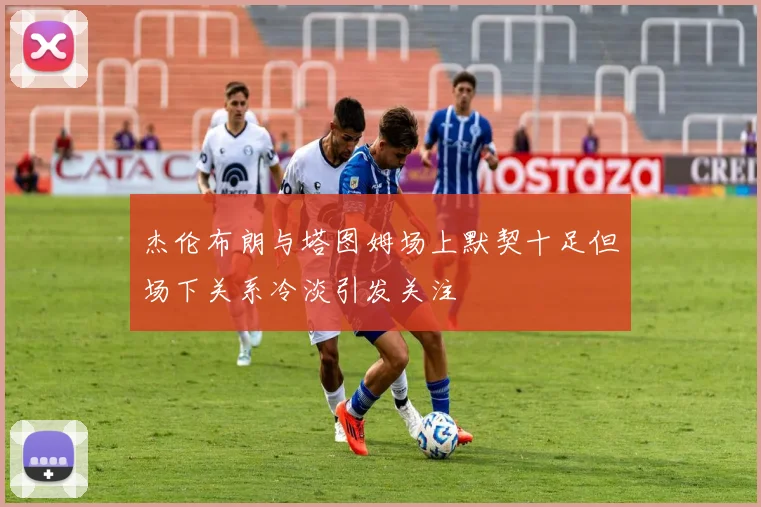 杰伦布朗与塔图姆场上默契十足但场下关系冷淡引发关注