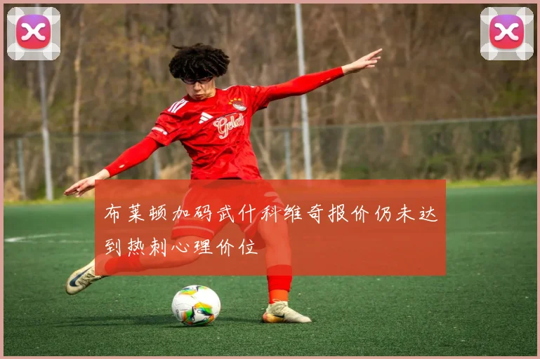 布莱顿加码武什科维奇报价仍未达到热刺心理价位