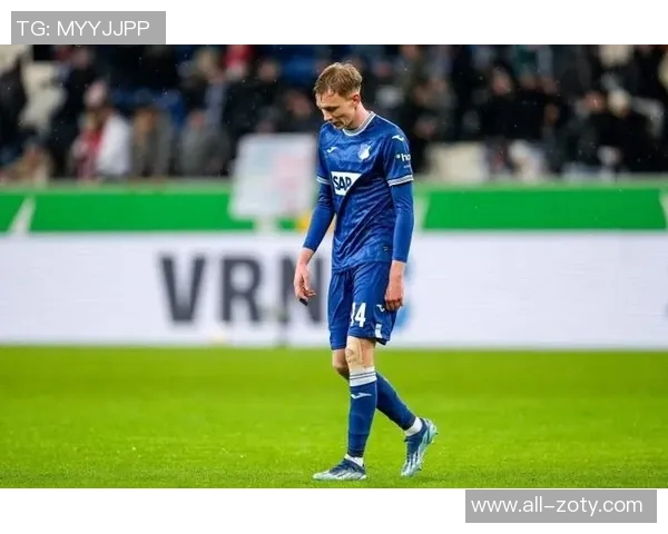 德天空报道霍芬海姆中场普勒梅尔今夏免签加盟斯图加特引发关注